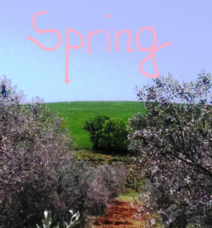 Agriturismo Il Cantiniere Grosseto Buitenkant foto