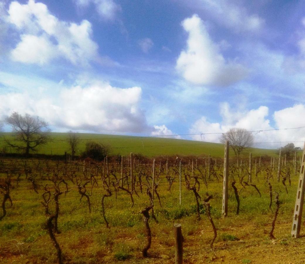 Agriturismo Il Cantiniere Grosseto Buitenkant foto