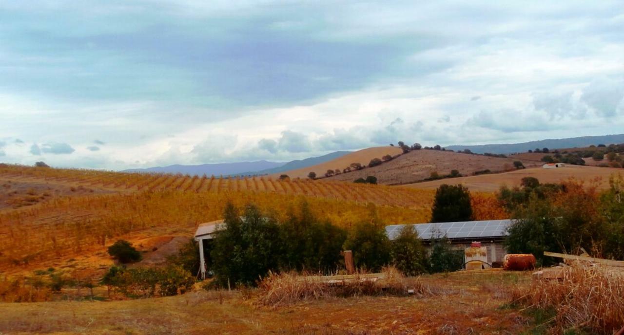 Agriturismo Il Cantiniere Grosseto Buitenkant foto