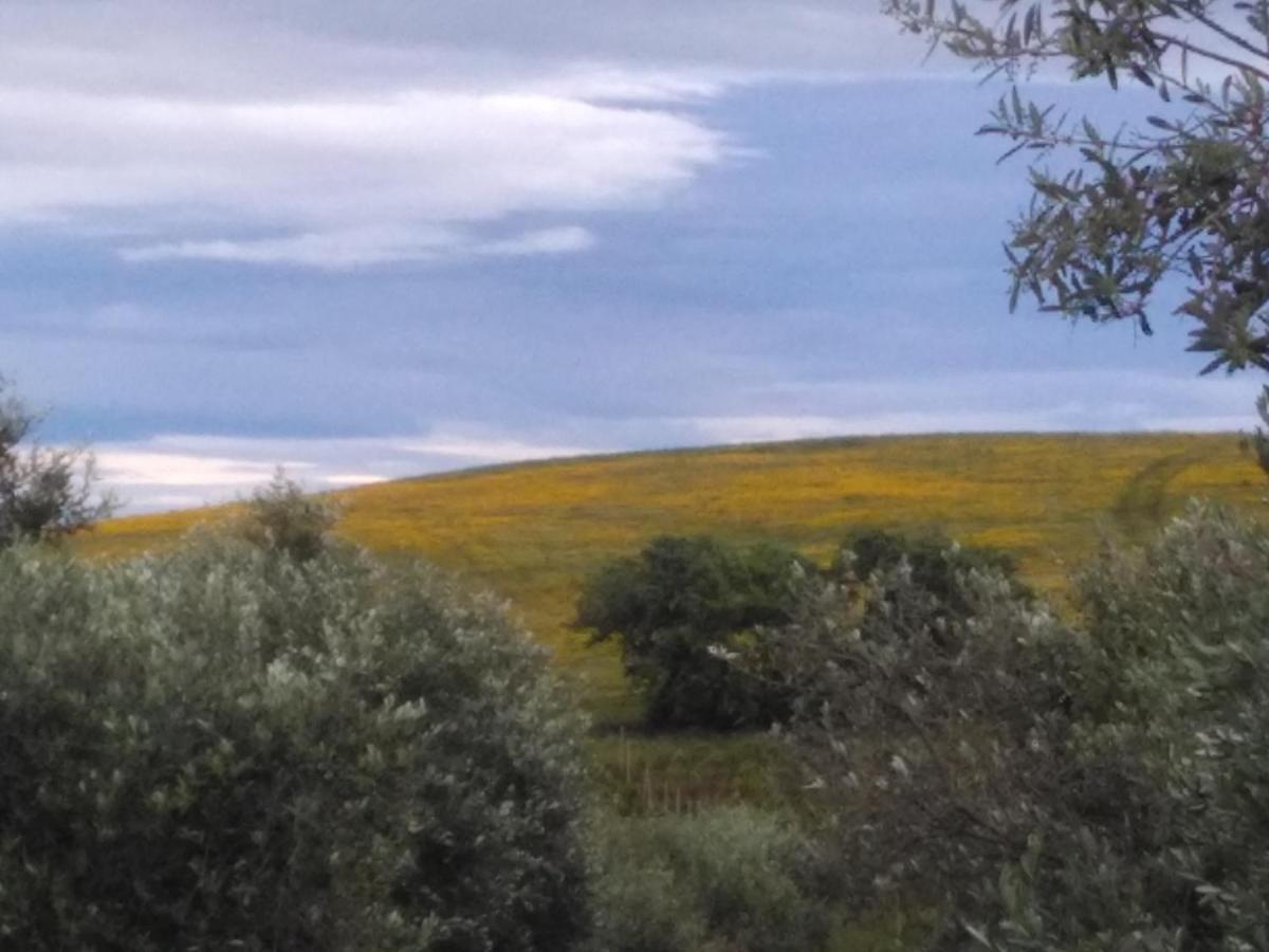 Agriturismo Il Cantiniere Grosseto Buitenkant foto